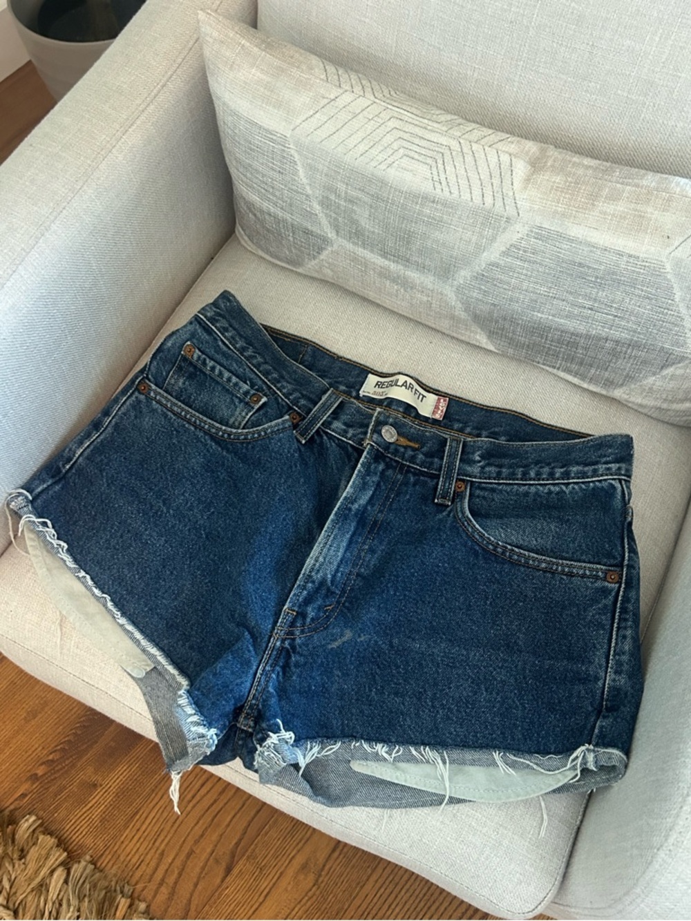 Levi’s (Aritzia) High-Rise Cutoff Denim Shorts in Dark Blue